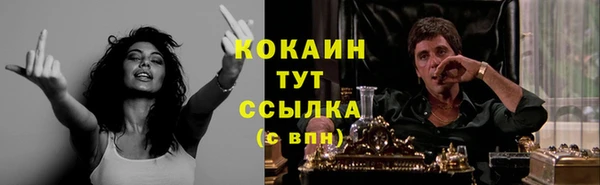 МДПВ Алзамай