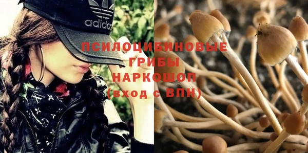 МДПВ Алзамай