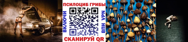 Псилоцибиновые грибы мухоморы как найти закладки Голицыно